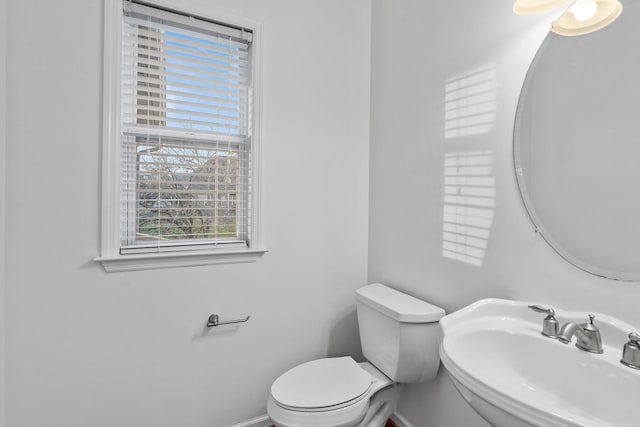 bathroom featuring sink and toilet