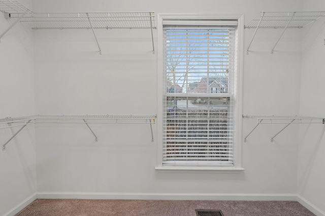 walk in closet with carpet flooring