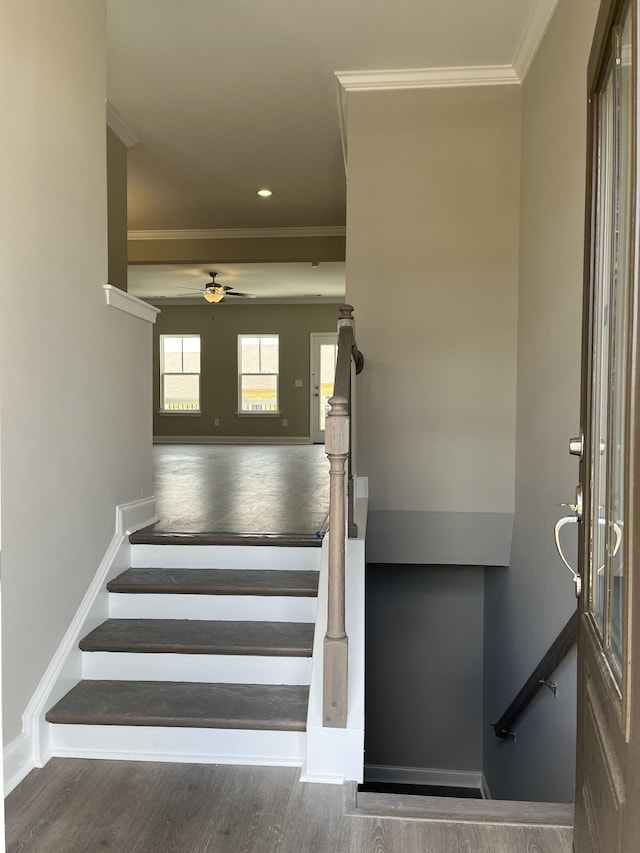 stairs with crown molding, ceiling fan, and wood-type flooring