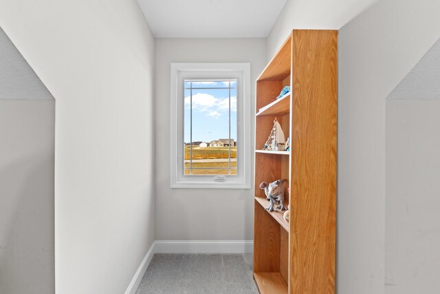 spacious closet featuring carpet floors