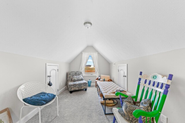 interior space with vaulted ceiling, a textured ceiling, and carpet flooring