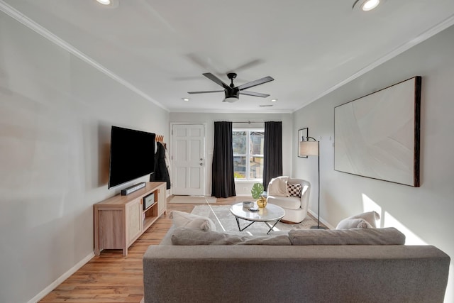 living room featuring ceiling fan, ornamental molding, and light wood-type flooring