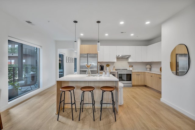 kitchen with tasteful backsplash, an island with sink, pendant lighting, light hardwood / wood-style floors, and appliances with stainless steel finishes