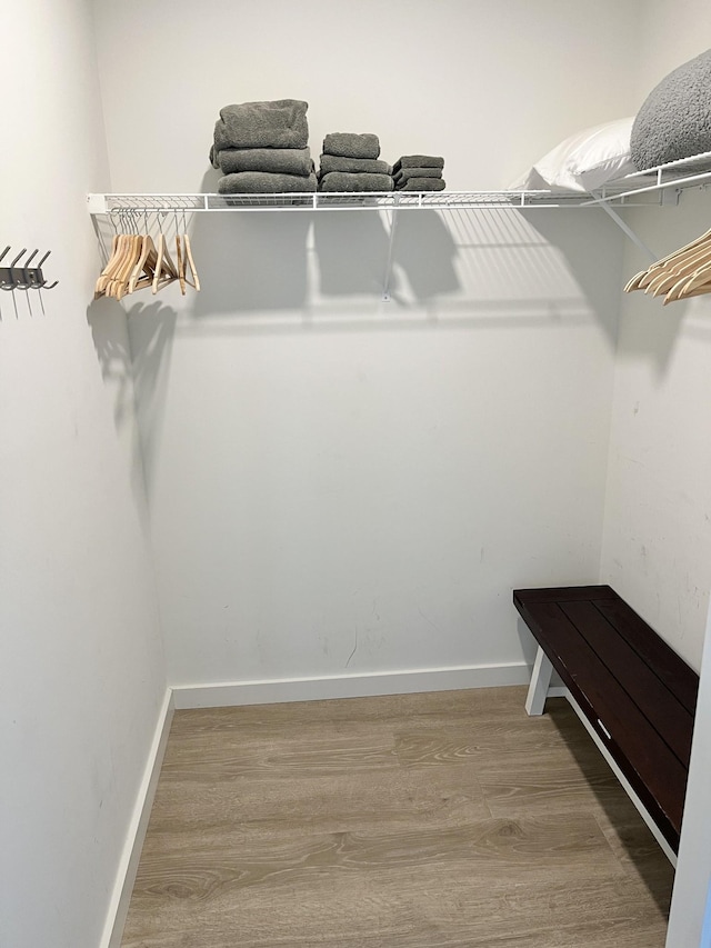 walk in closet featuring wood-type flooring