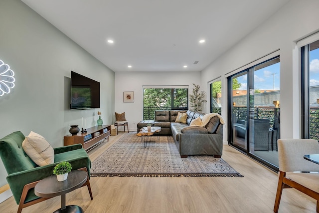 living room featuring light hardwood / wood-style floors