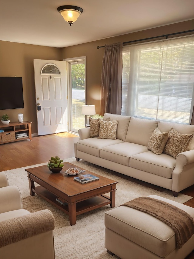 living room featuring light wood-type flooring