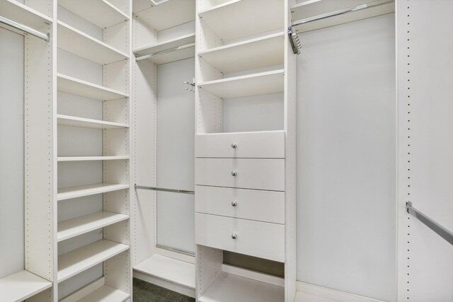 view of spacious closet