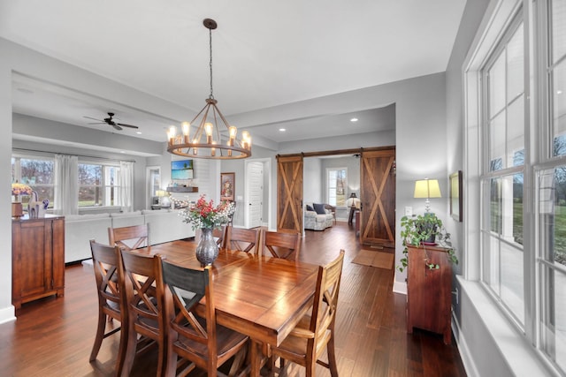 dining area featuring ceiling fan with notable chandelier, a barn door, and dark hardwood / wood-style flooring