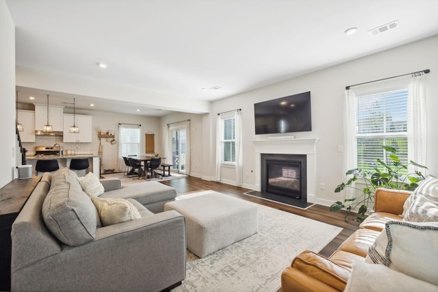 living room with hardwood / wood-style flooring