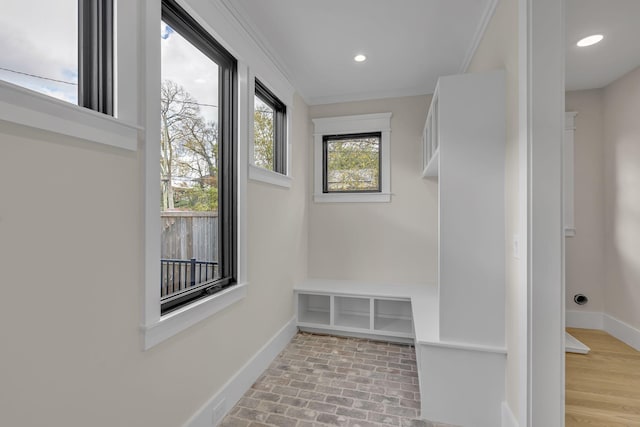 mudroom featuring crown molding and plenty of natural light