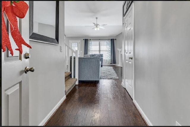 entryway with dark wood-type flooring and ceiling fan