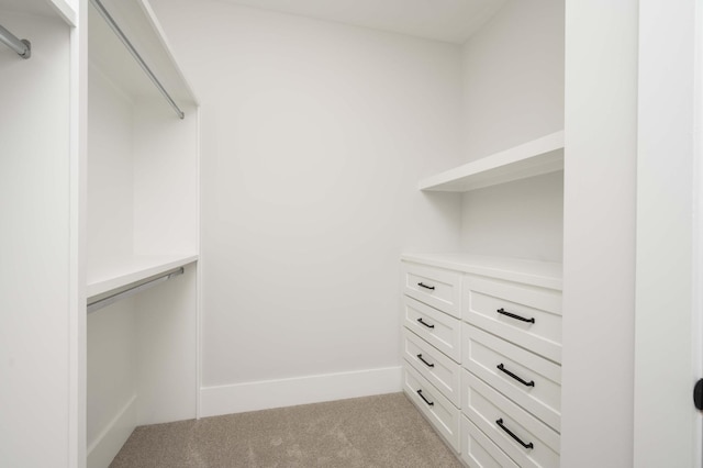 spacious closet with light colored carpet