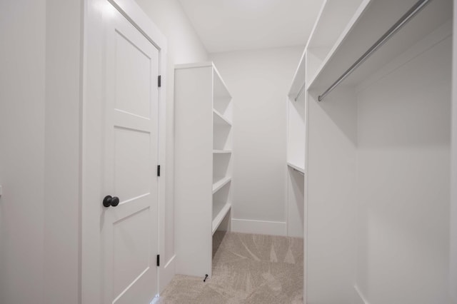 spacious closet with light carpet