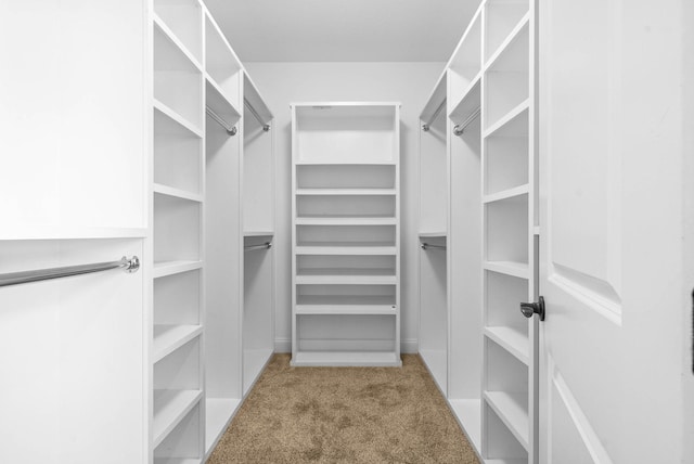 walk in closet featuring carpet