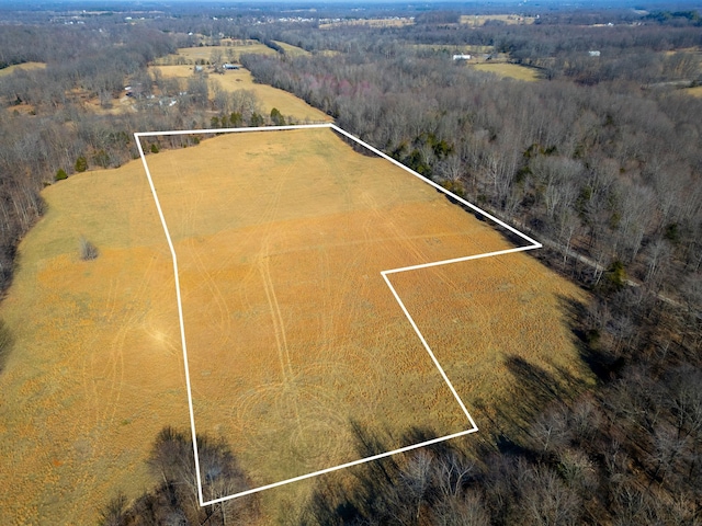 0 Bill Moss Rd, White House TN, 37188 land for sale