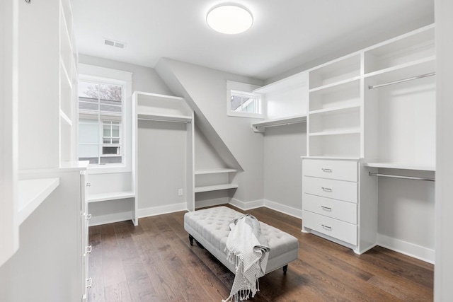 walk in closet featuring dark hardwood / wood-style flooring