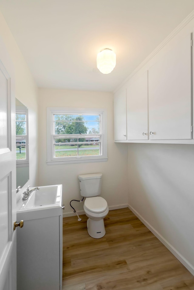 bathroom with vanity, hardwood / wood-style flooring, toilet, and a healthy amount of sunlight