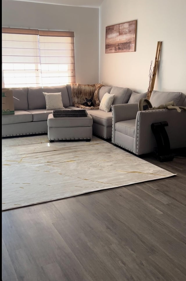 living room featuring wood-type flooring