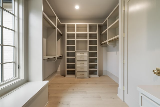 walk in closet with light wood-type flooring