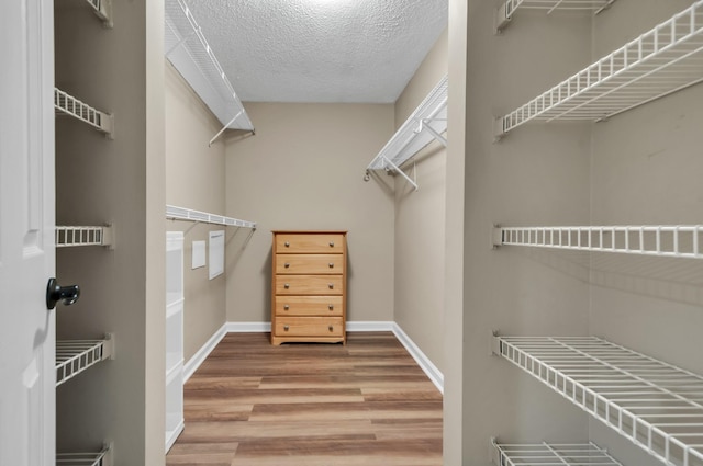 walk in closet featuring hardwood / wood-style flooring