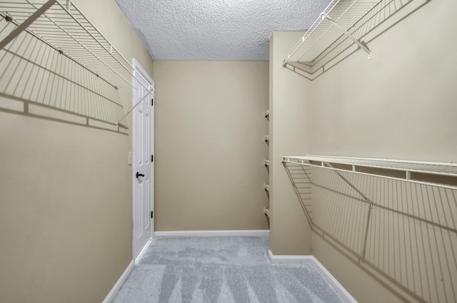 spacious closet with light carpet