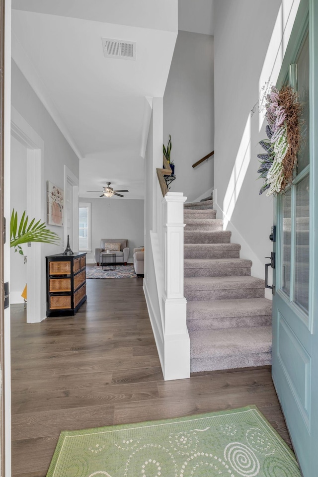 entryway featuring dark hardwood / wood-style floors and ceiling fan