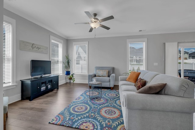 living room with hardwood / wood-style flooring, ceiling fan, a healthy amount of sunlight, and ornamental molding