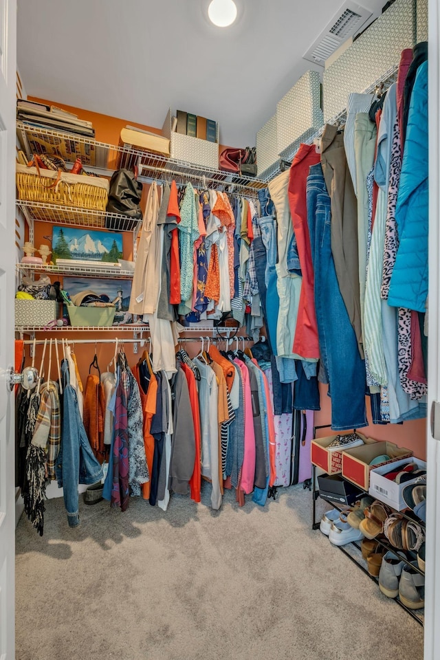 spacious closet featuring carpet flooring