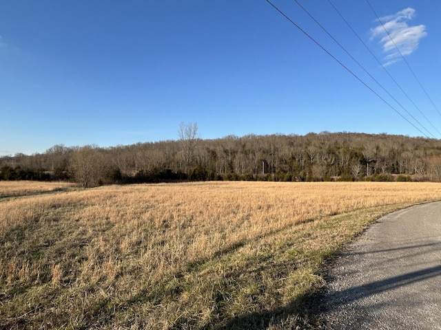 Listing photo 3 for 0 Alease Rd, Fayetteville TN 37334