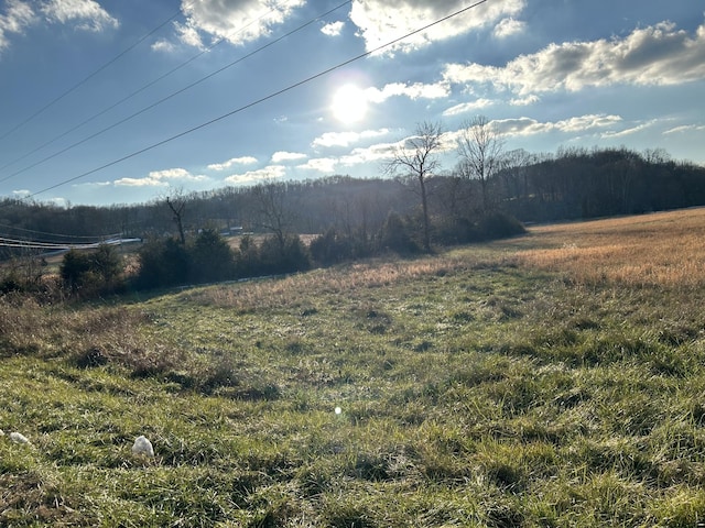 0 Alease Rd, Fayetteville TN, 37334 land for sale