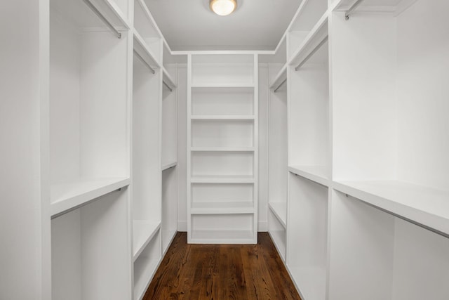 spacious closet with dark hardwood / wood-style floors