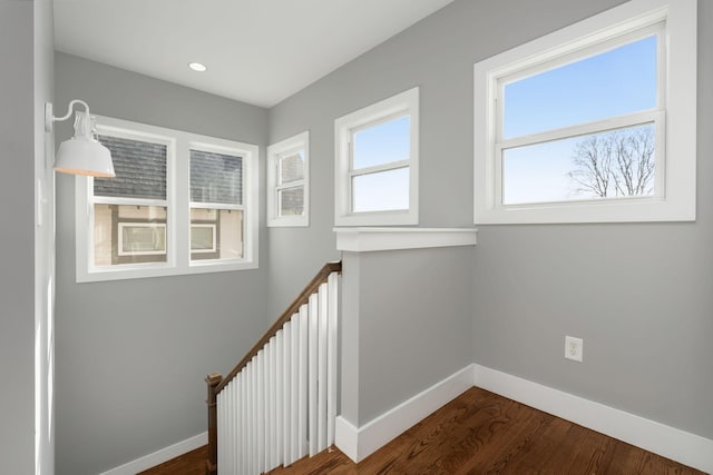 staircase with hardwood / wood-style floors