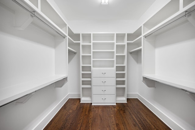 spacious closet with dark wood-type flooring