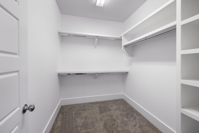 walk in closet with dark colored carpet