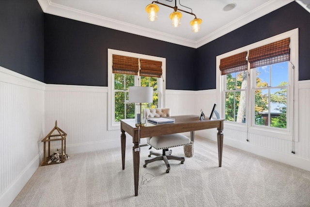 carpeted office with crown molding and a healthy amount of sunlight