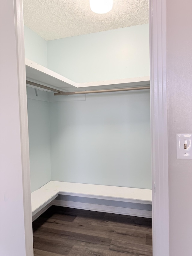 walk in closet featuring dark hardwood / wood-style flooring