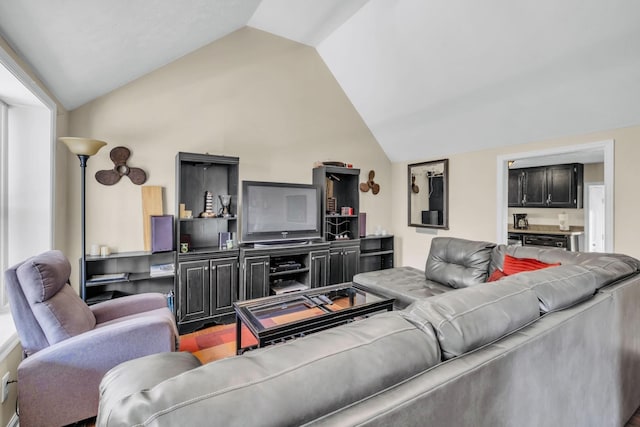 living room with lofted ceiling