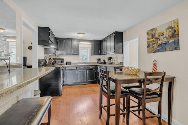 kitchen with stainless steel electric stove, light wood-type flooring, and sink