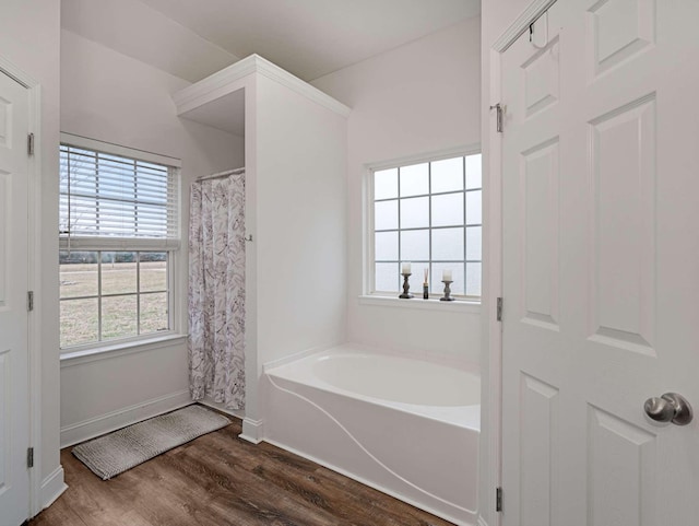 bathroom with hardwood / wood-style floors and a tub to relax in