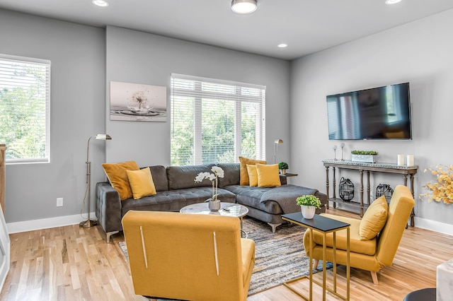 living room with light wood-type flooring