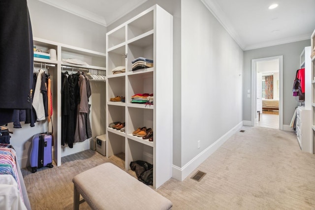 walk in closet with light colored carpet