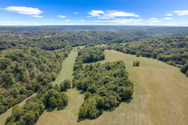 0 Grays Bend Rd, Centerville TN, 37033 land for sale