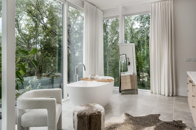 bathroom with a bathing tub and vanity