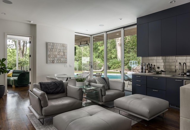 living room with dark hardwood / wood-style floors, expansive windows, and sink