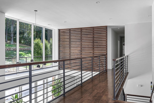 hallway featuring dark hardwood / wood-style flooring