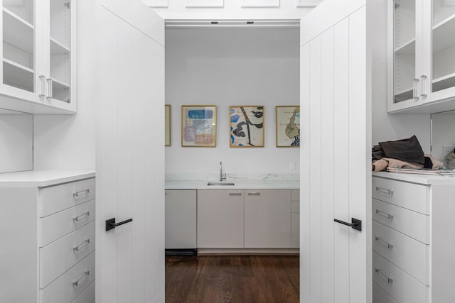 walk in closet with sink and dark hardwood / wood-style floors