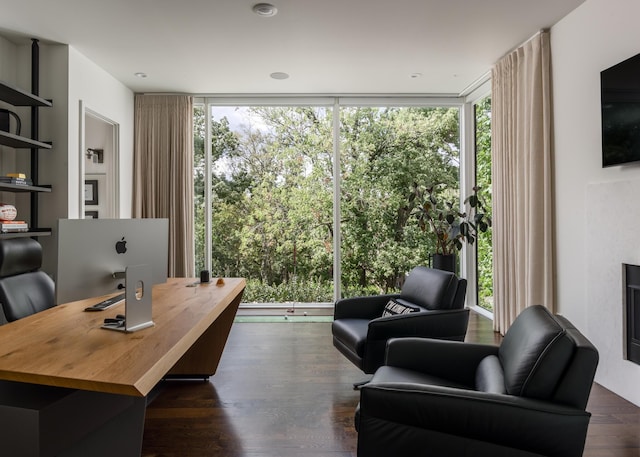 office area featuring dark hardwood / wood-style floors and a wall of windows