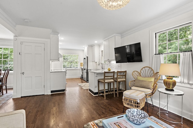 living room featuring dark hardwood / wood-style flooring, ornamental molding, and sink