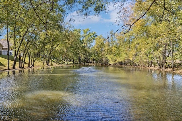 2016 Shamrock Dr, Spring Hill, TN 37174 - water view