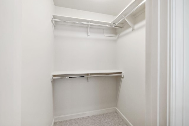 spacious closet with carpet flooring